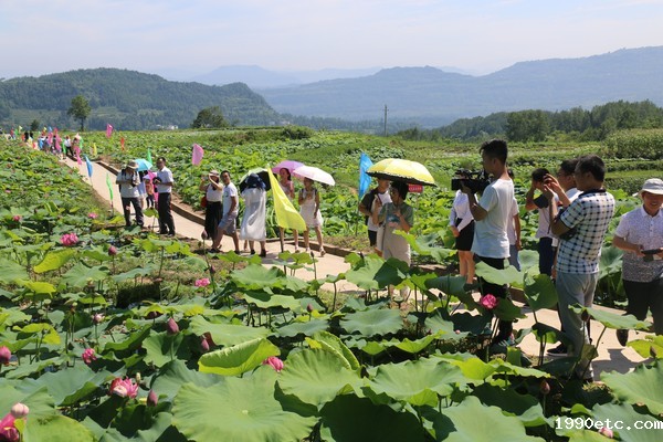 2016.7.16第二届荷花仙子选拔 257.JPG