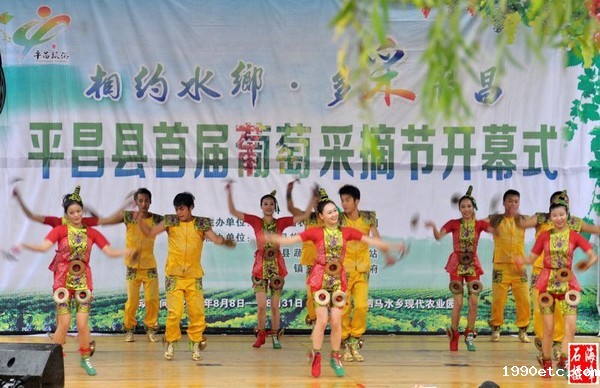 葡萄采摘节 (11).jpg