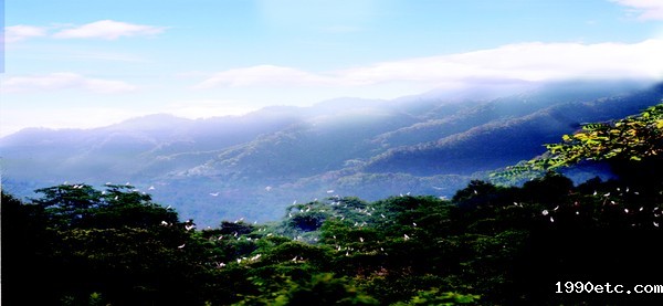 作大底图镇龙山国家森林公园五峰林海景区1.jpg